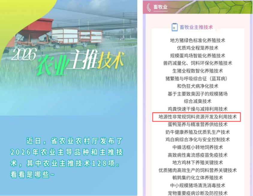 多彩网-让你的生涯越发丰硕多彩